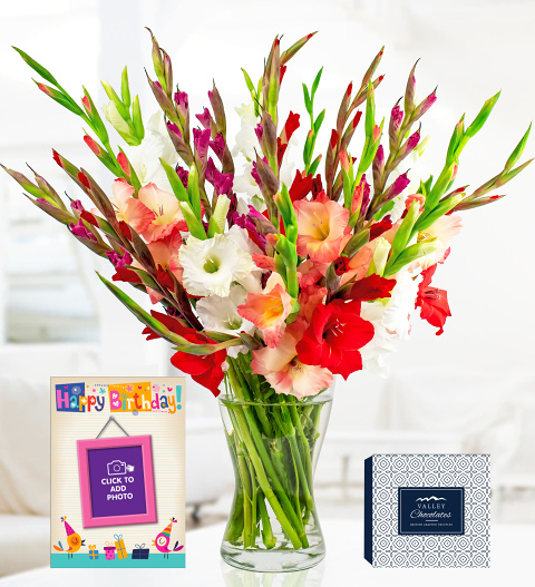 British Gladioli - Free Handmade Chocs - Next Day Flower Delivery - Send Flowers By Post