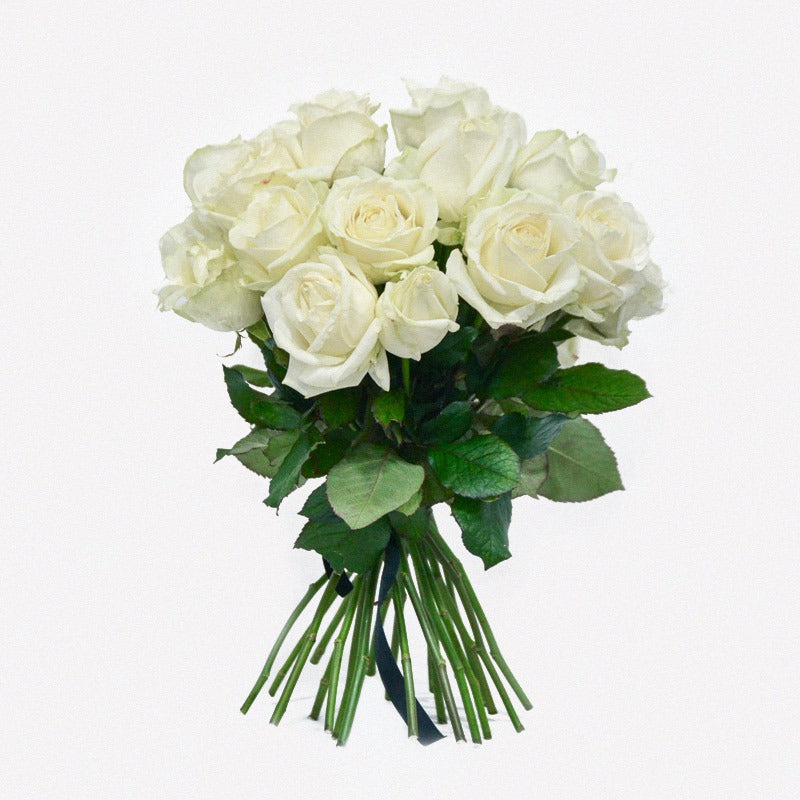 White Avalanche Rose Bouquet