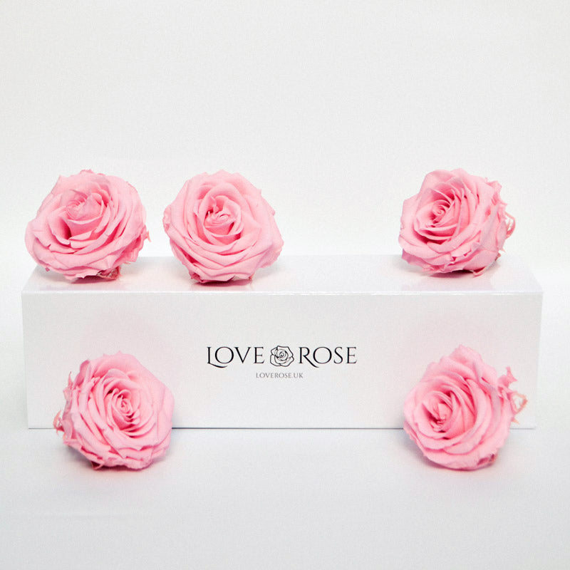 5 Infinity Pink Roses In A White Box