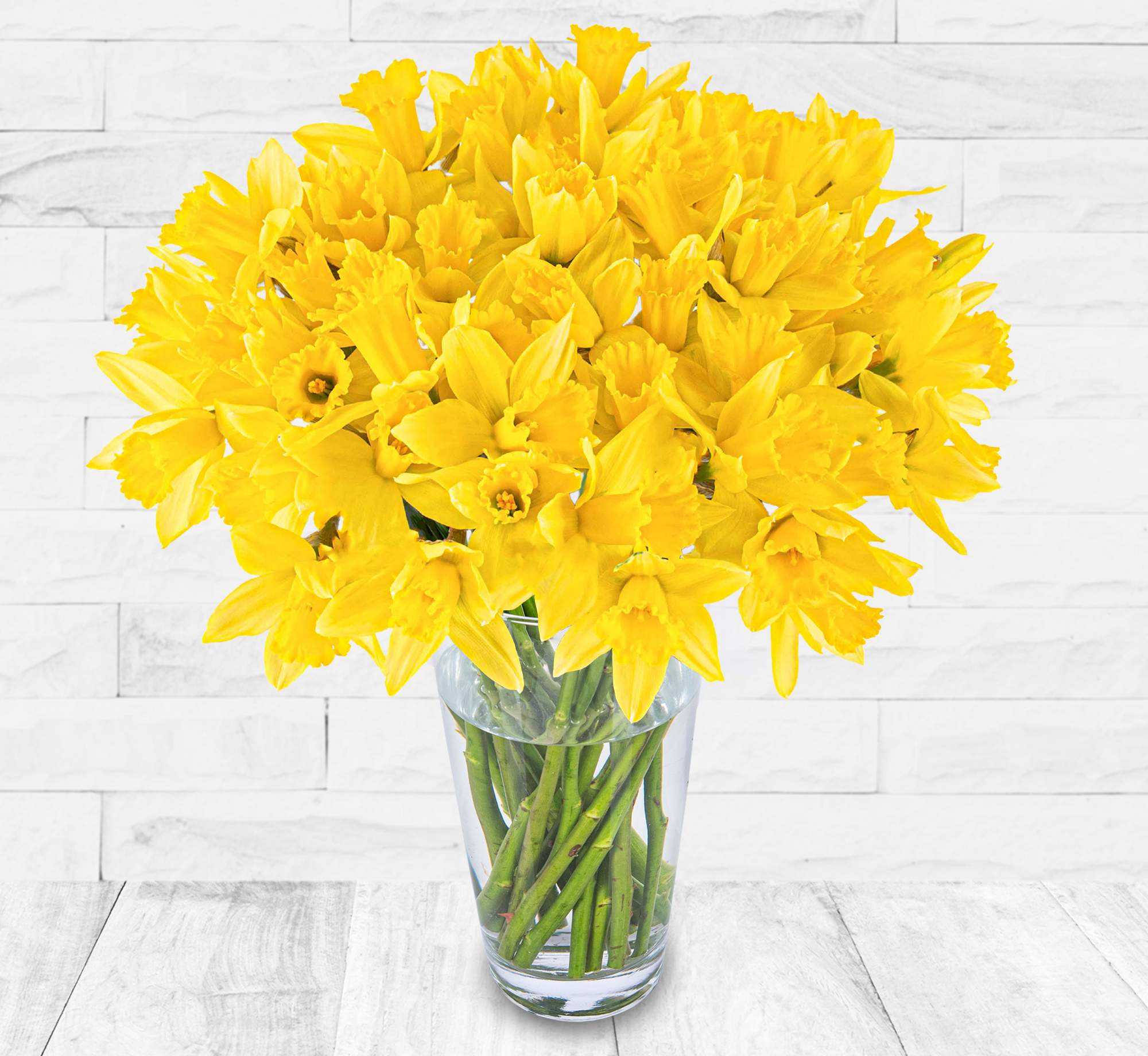 Fresh Spring Daffodils