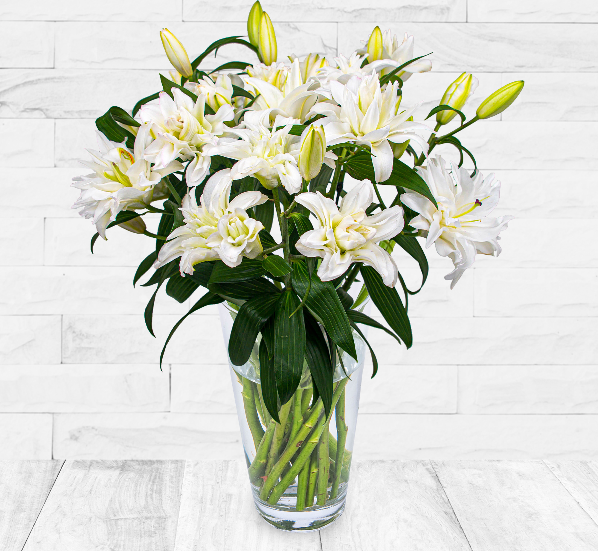 Double-flowering Lilies
