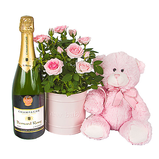 Baby Girl Rose Gift With Champagne