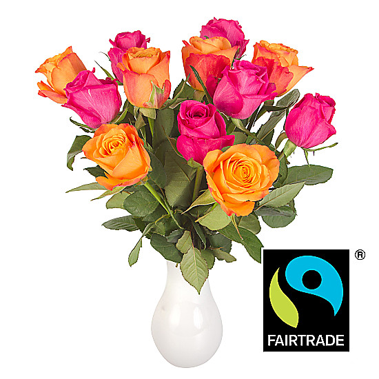 Fairtrade Bright Rose Mix