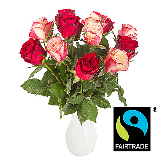 Fairtrade Romantic Roses