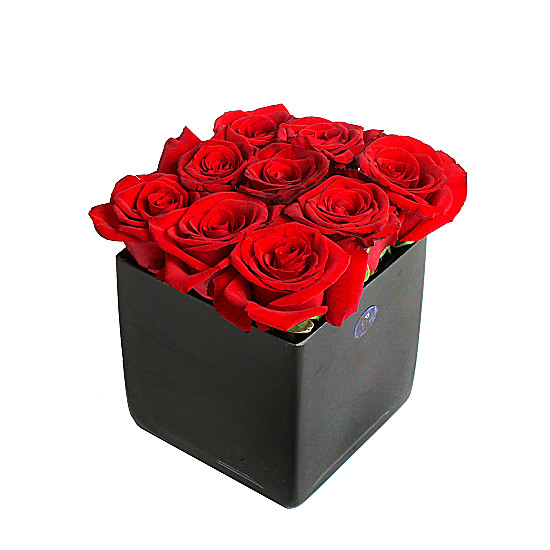 Red Roses Cube