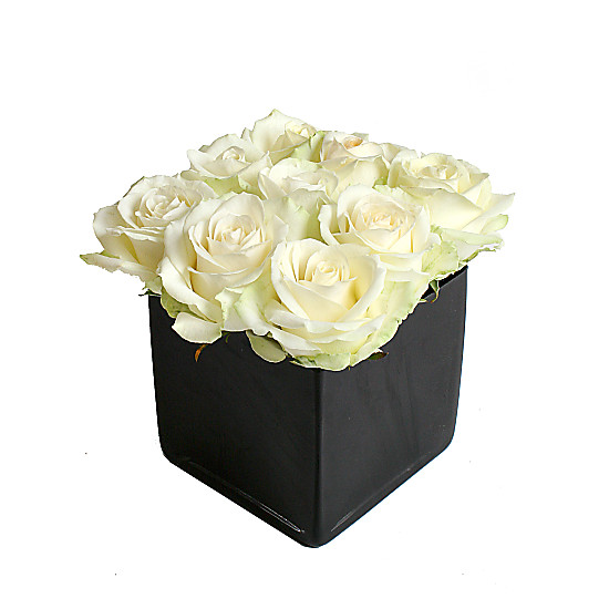 White Roses Cube