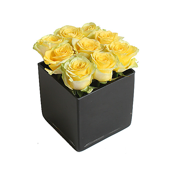 Yellow Roses Cube