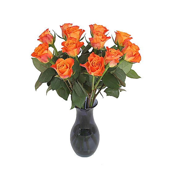 A Dozen Orange Roses Giftwrap