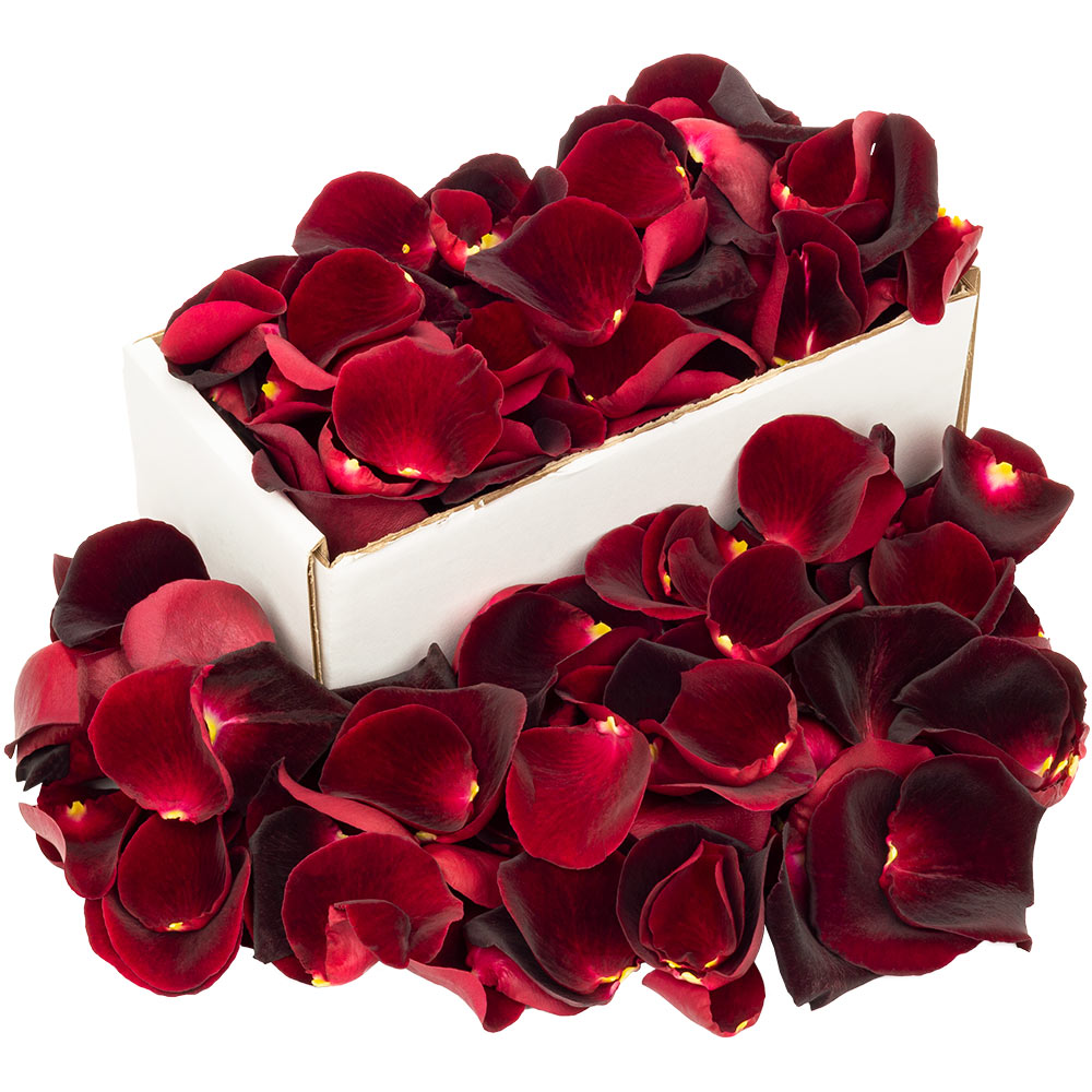 1 Box Of Black Baccara Rose Petals
