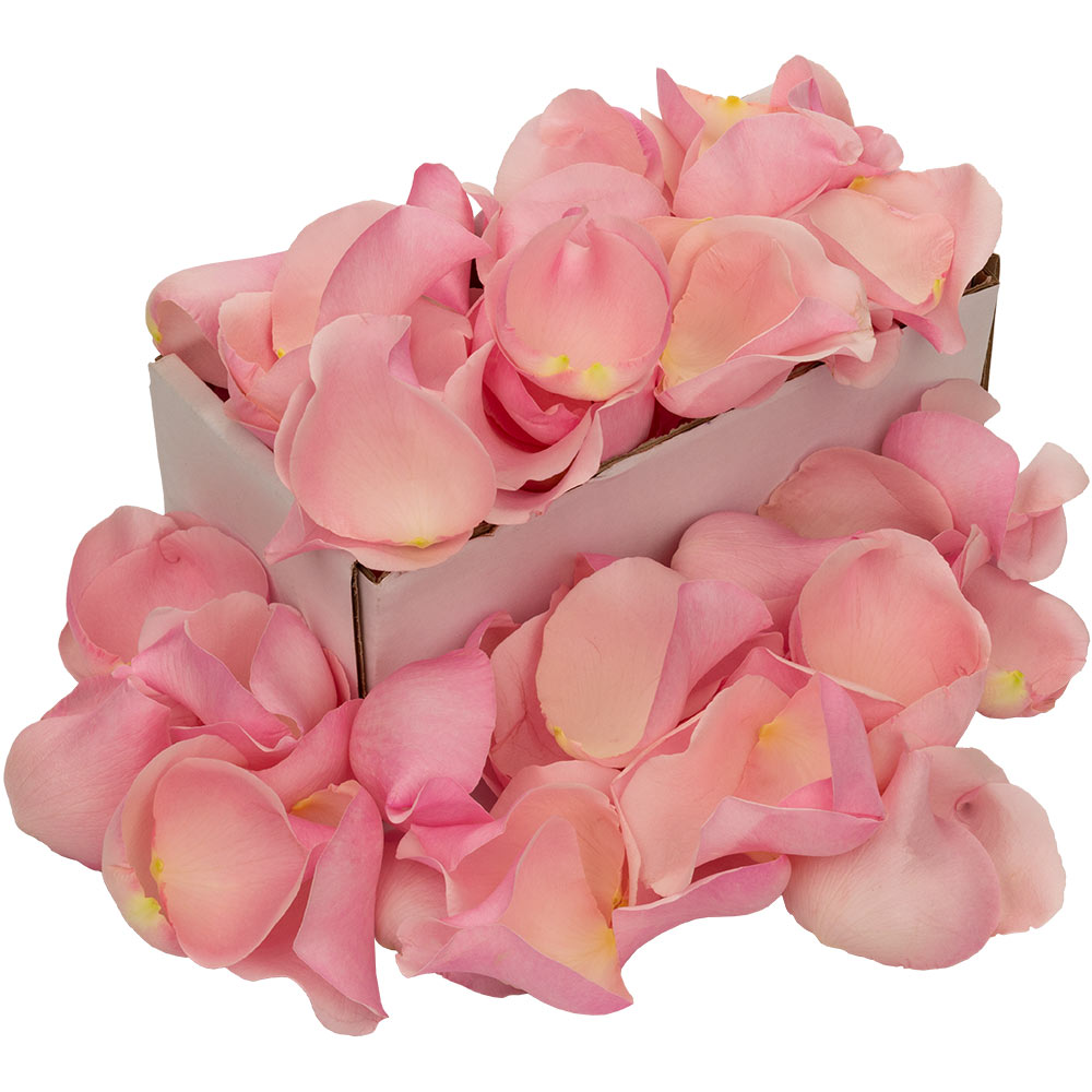 1 Box Of Pink Rose Petals