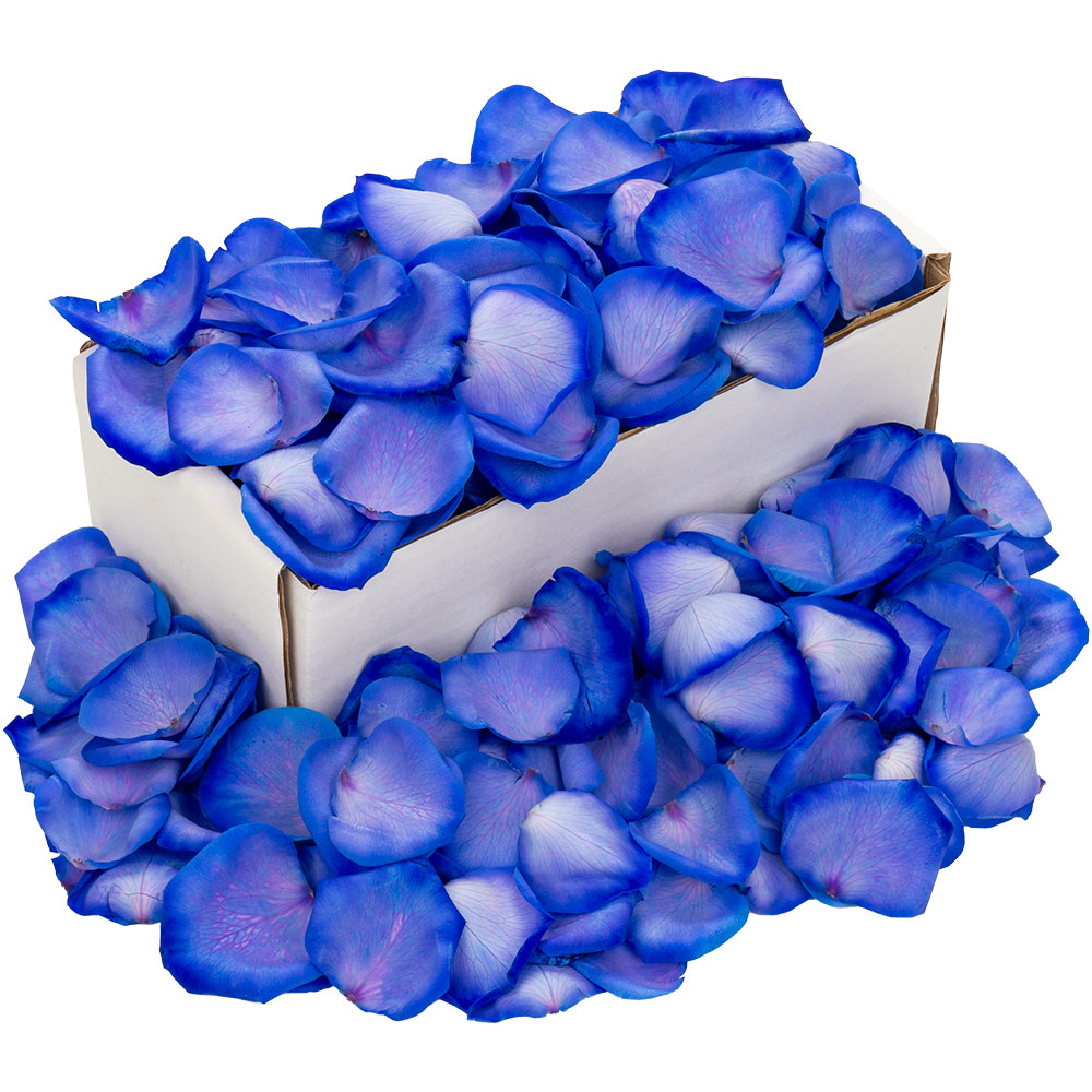 1 Box Of Blue Rose Petals