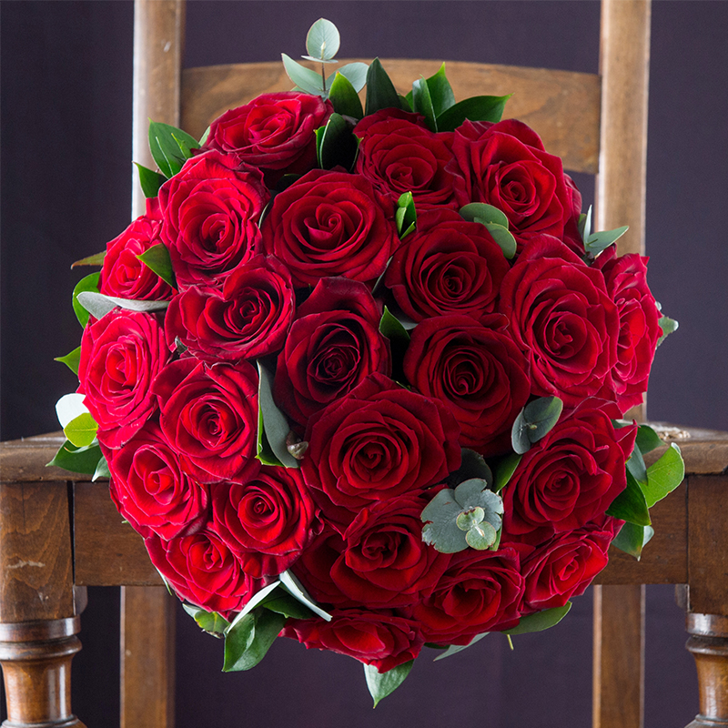 24 Opulent Red Roses
