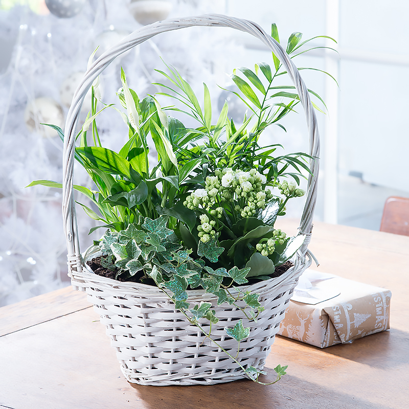 Classic Seasonal Flowering Basket