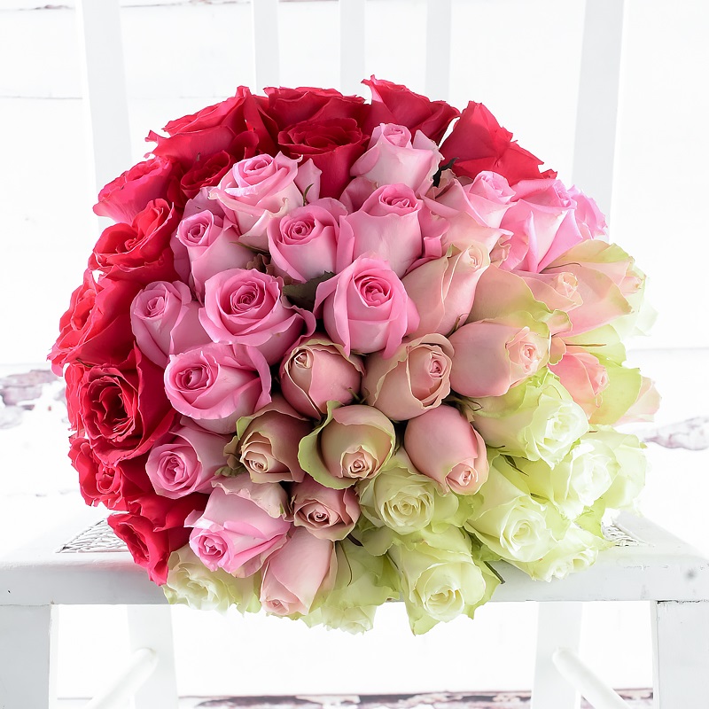 50 Ombre Roses