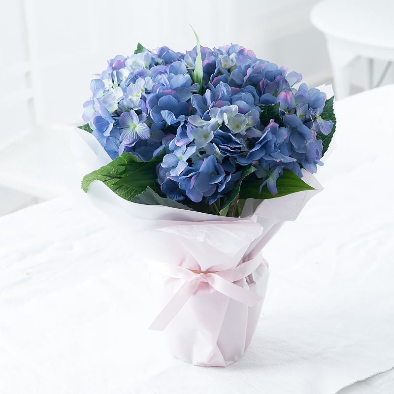 Gift Wrapped Blue Hydrangea