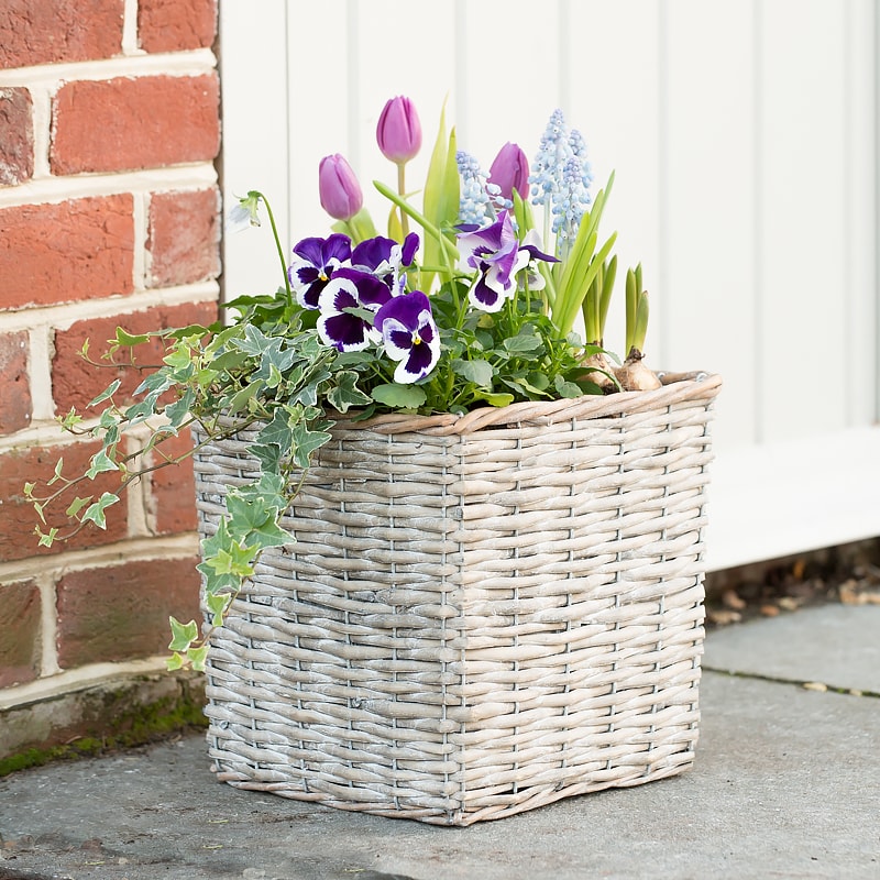 Large Outdoor Spring Basket