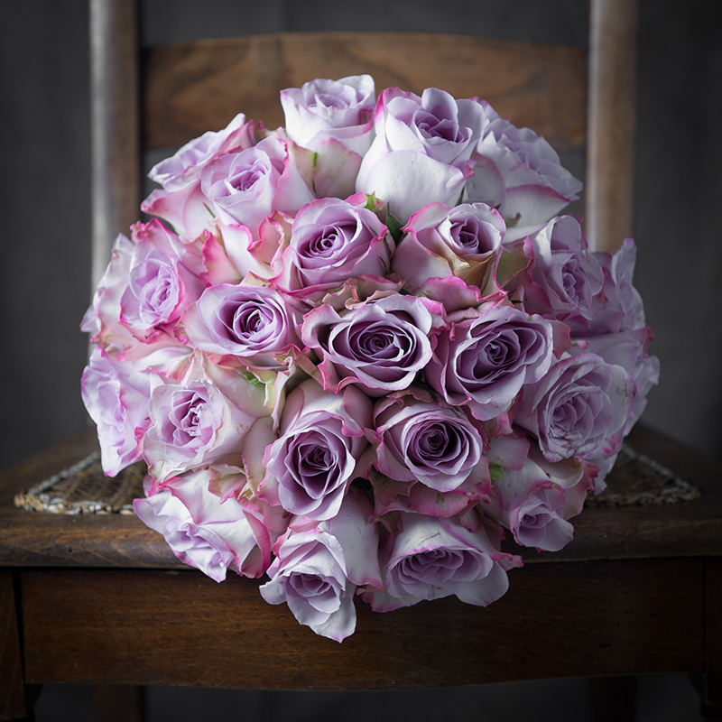 Luxury Lavender Roses