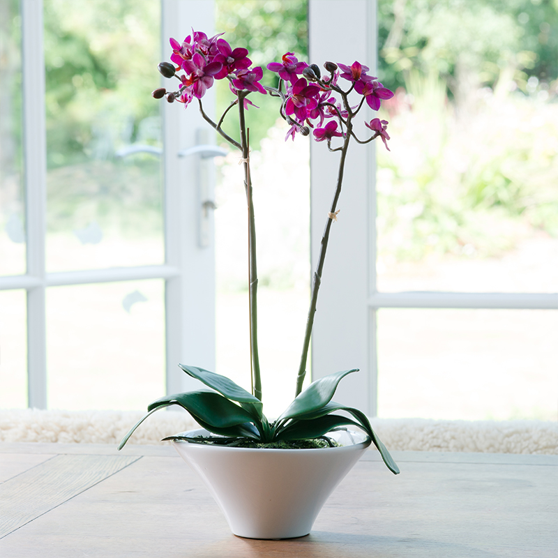 Artificial Magenta Orchid