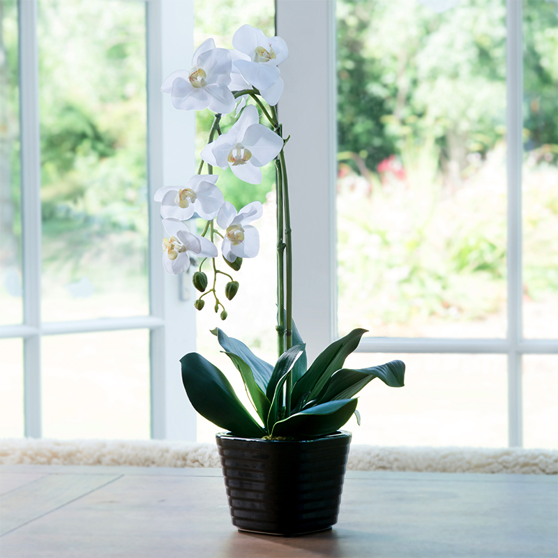 Artificial White Phalaenopsis