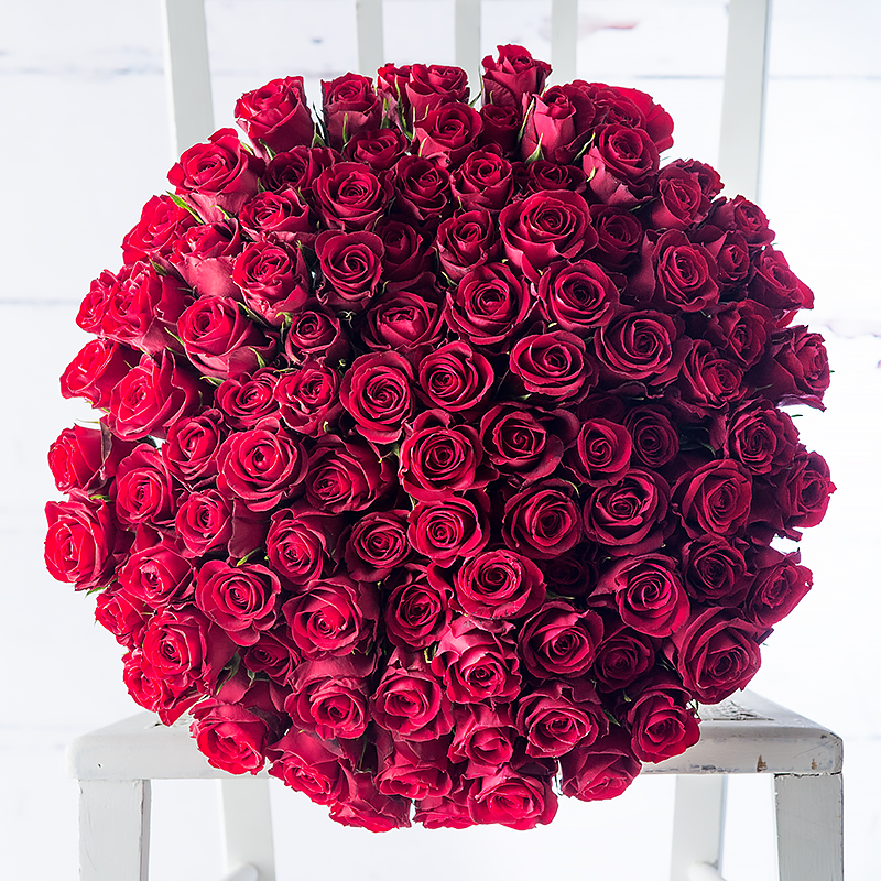 100 Red Roses Gift Set